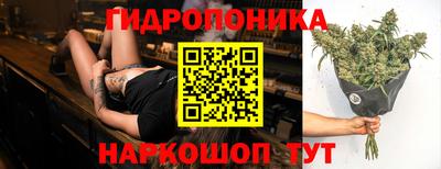 наркотики Ачхой-Мартан