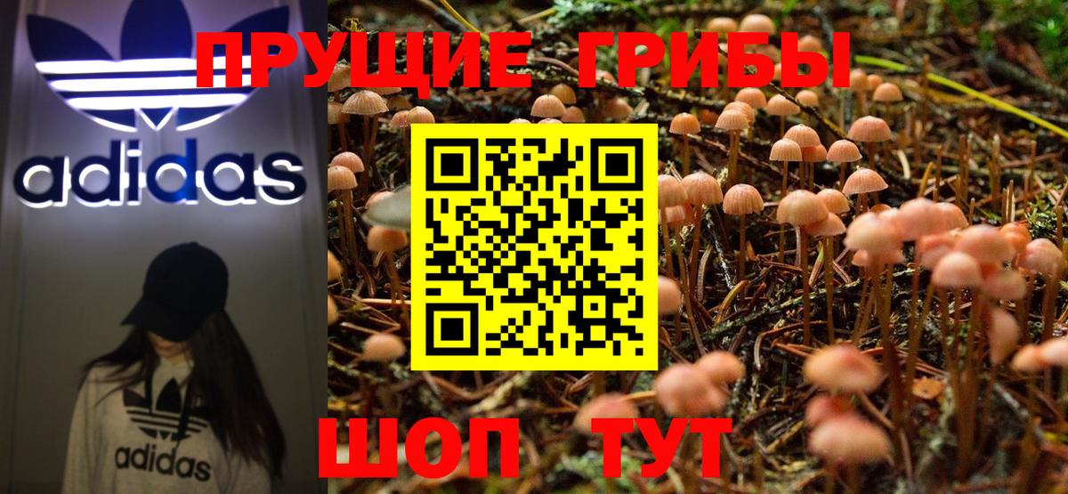 Галлюциногенные грибы Cubensis Торжок